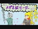 【minecraft】マイクラ世界で村づくり　～33日目～