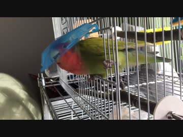 出してぇぇ！！