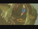 【実況】初見のゼルダをフランス語でやるとどこまでいけるのか part13
