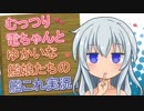 むっつり電ちゃんとゆかいな艦娘たちの艦これ実況！【冬Ｅ２】