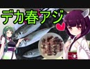 【1080p対応】東北姉妹のドタバタ釣行記 目指せ尺アジ、春のアジング調査