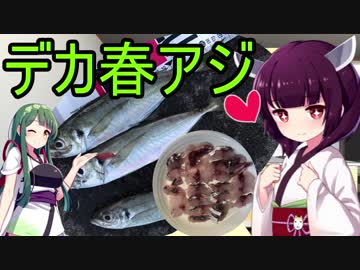 【1080p対応】東北姉妹のドタバタ釣行記 目指せ尺アジ、春のアジング調査