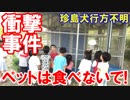 【韓国区役所で衝撃的な事件発覚】 子供たちのペットを食べちゃった！恵まれない人々にプレゼントしたらしいぞ！