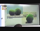 世界でたった2ヶ所！？ マリモの話