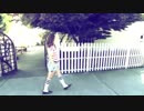Fountains of Wayne - The Summer Place
