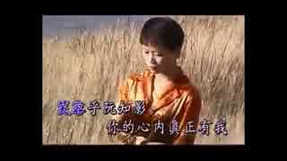 長山洋子『嘘だといって』台湾語版…詹雅雯「酒酔情話」