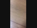 世間的な常識で気を使うこと    照井浩也の日記