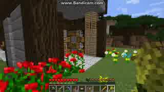 [第311日]マイクラ冒険記[Minecraft]