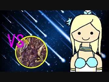 三国志大戦　大喬と共に大流星で覇者を目指す　Part19