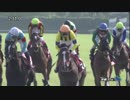 2018年　第66回 京都新聞杯（GⅡ）【ステイフーリッシュ】
