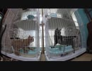 【Jean & Pont 1038】チャコちゃんが急激に慣れてハイテンション