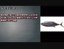 【怪異396】SCP-エビ-JP-J