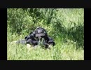 銃とサバゲとゆかりさん２