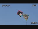 2018年春日部大凧揚げまつり