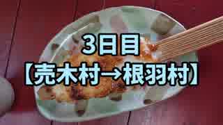 【長野県一周3日目】長野県の旧120市町村を徒歩と自転車でまわる旅with俳句【売木村→根羽村】