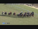 2018年　第13回 ヴィクトリアマイル（GⅠ）《参考レース》