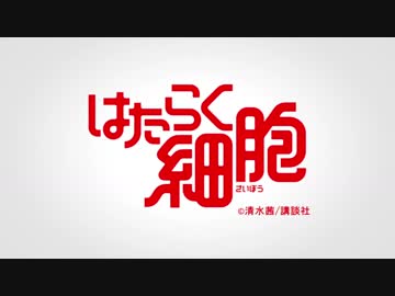 はたらけ細胞（平沢ＭＡＤ）