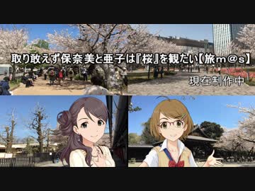 取り敢えず保奈美と亜子は『桜』を観たい【旅ｍ＠ｓ】＃00