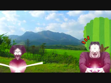 だるまさんが転んだで遊ぶ音割れポッター＆ハリー