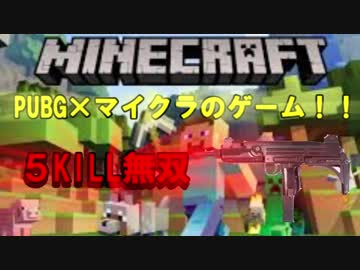 【無双】マイクラ×FPSのゲームで５KILLしたのがやばい【フォートナイト】