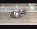 2018年5月4日船橋競馬11R ラジオＮＩＫＫＥＩ盃(B2-一組) ハドソンホーネット