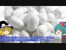 【ゆっくり世界史解説】ヘレニズム三国とパルティア王国[07]