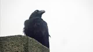 翔太朗/ give up d(^_^○)