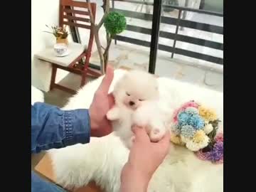 なに～？　この可愛すぎる生き物は～♡ Part１