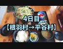 【長野県一周4日目】長野県の旧120市町村を徒歩と自転車でまわる旅with俳句【根羽村→平谷村】