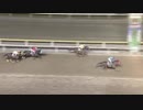 2018年5月3日船橋競馬9R 端午特別(B2-二組以下) ウォースピリッツ