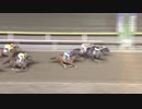 2018年5月3日船橋競馬10R Ｂダッシュ(B2・B3) トップスター