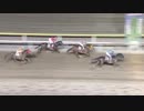 2018年5月4日船橋競馬12R くじら賞(B2・B3) ミスエリカ