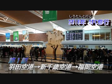 しろたんと行く　2018年ＳＦＣ修行　国内３月場所編　その１