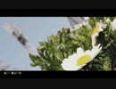 【方角が】春に一番近い街　歌ってみた