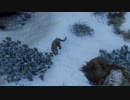 RISE OF THE TOMB RAIDER 字幕プレイ Part9