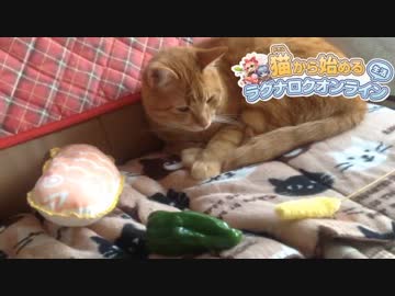 彼女はニャンキー団に入りたいそうです+勝手にＣＭ「ラグナロクオンライン ドラム」