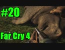 【FarCry4】狂気に満ちた無慈悲な国でサバイバル 20【実況】
