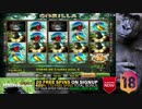 □□□□AMAZING BIG SLOT WIN 446.000 EURO.□□□ Gorilla Casino Slot, □novomatic.□