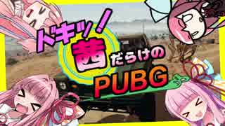 ドキッ！茜だらけのPUBG!! 【VOICEROID実況】