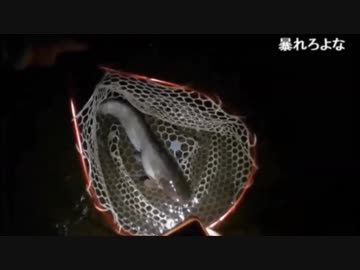 5.02 【魚釣り】暗黒ナマズ釣り放送　ルアーナマズずら～
