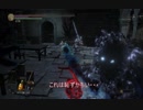 【ＰＣ版ダクソ３】題名の無い侵入３5【イベント「灰達の晩餐」一日目】