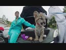Captain Cuts - Love Like We Used To ft. Nateur
