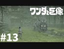 ワンダと巨像とそして俺#13