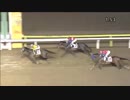 2018年5月7日大井競馬11R ケンタウルス賞(A2以下) ペイシャゴンジセ