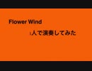 【める音】　Flower Wind 1人で演奏してみた　【Mesemoa. 6周年記念】