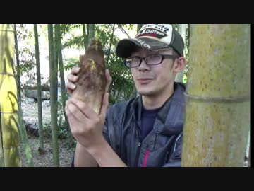 春のタケノコ掘りに行ってきた!!