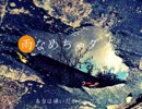 【初夏曲企画】「雨なめちゃダメ」 歌いました【葉多】