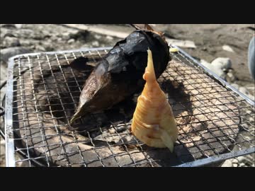 タケノコ掘って炭火焼きにしようＺＥ！【合同企画】