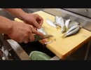 寿司職人によるコハダの仕込みから握りまで〜How To Make Sushi Series〜