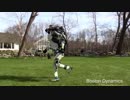 そこには元気に外を走り回る二足歩行ロボットの姿が